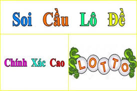 dự đoán theo cầu Pascale mt